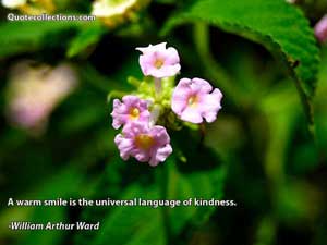 william_arthur_ward_quotes Quotes 4